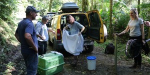 URVE se Torna Área Para Soltura de Animais Silvestres